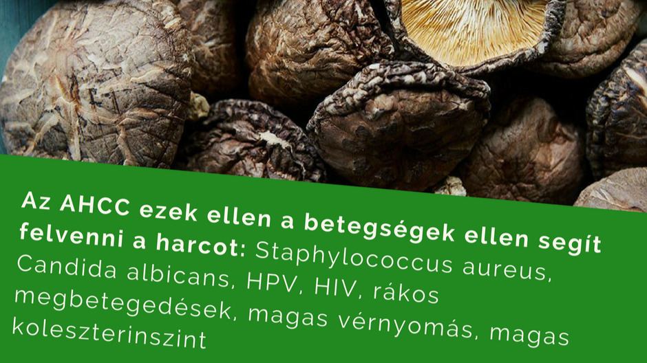HPV-szűrés és tipizálás - mayerrobert.hu